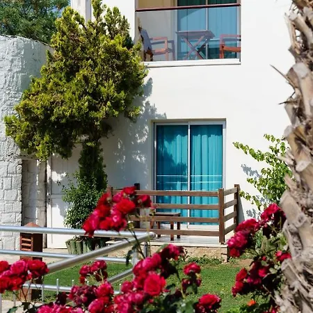 Costa Luvi -