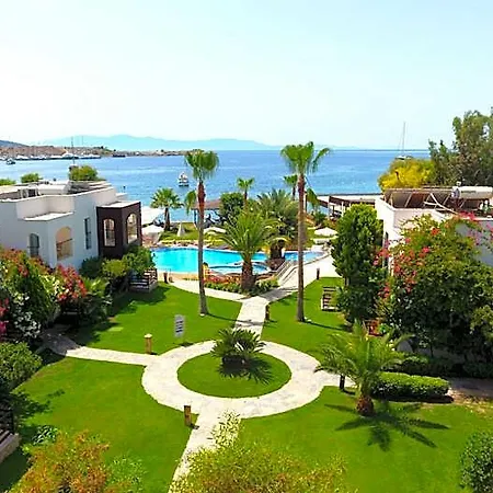 酒店 Costa Luvi Bodrum 居姆贝特