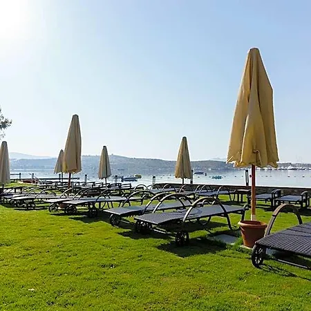 酒店 Costa Luvi Bodrum 4*