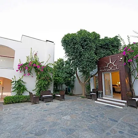 酒店 Costa Luvi Bodrum 居姆贝特