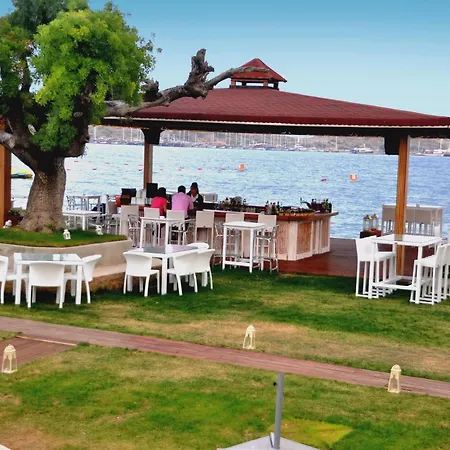 Costa Luvi -