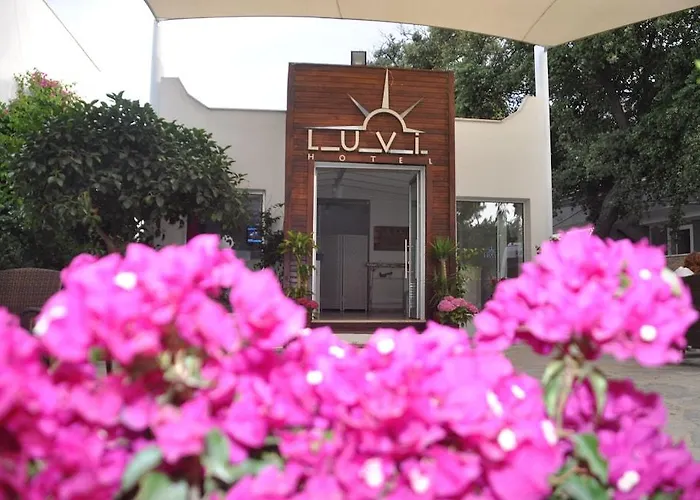 Costa Luvi Bodrum فندق