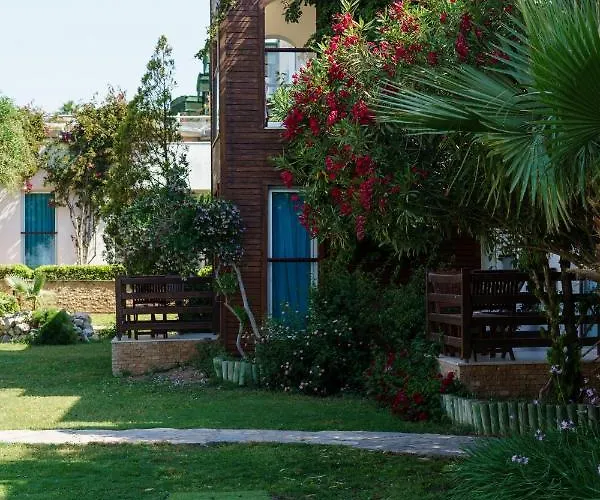 فندق Costa Luvi Bodrum 4*