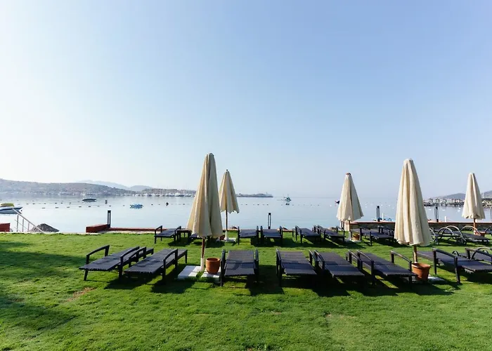Costa Luvi Bodrum