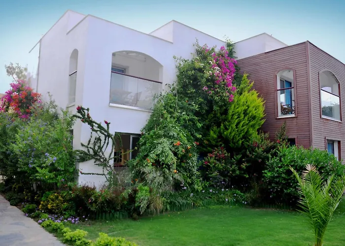 Costa Luvi Bodrum فندق غومْبيت